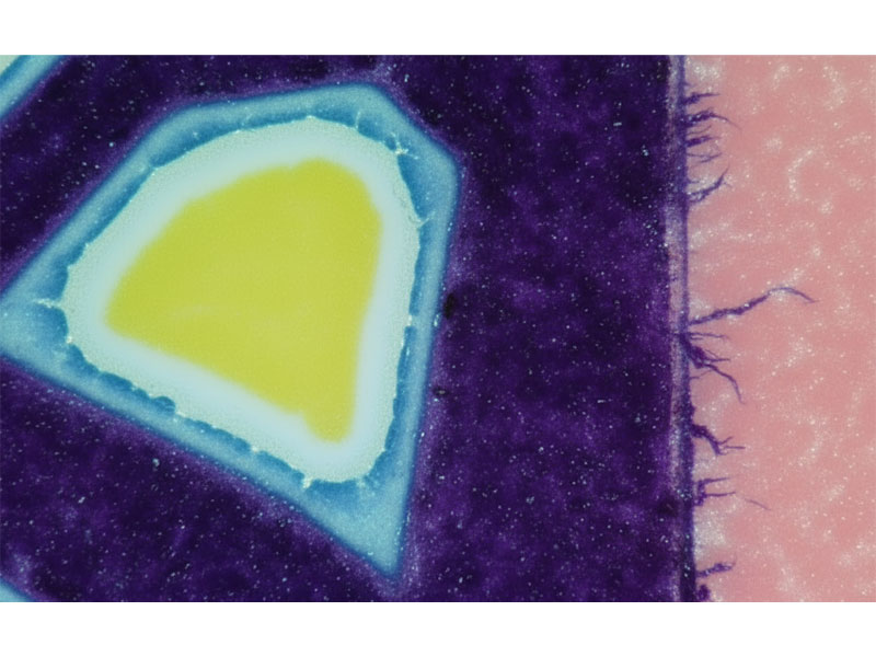 हेलो-प्रभाव का अत्यधिक-डॉट-लाभ