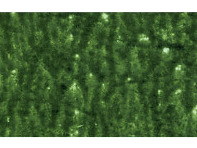 फ्लेक्सो-प्रिंटिंग-दोष-की-विचित्र छवि